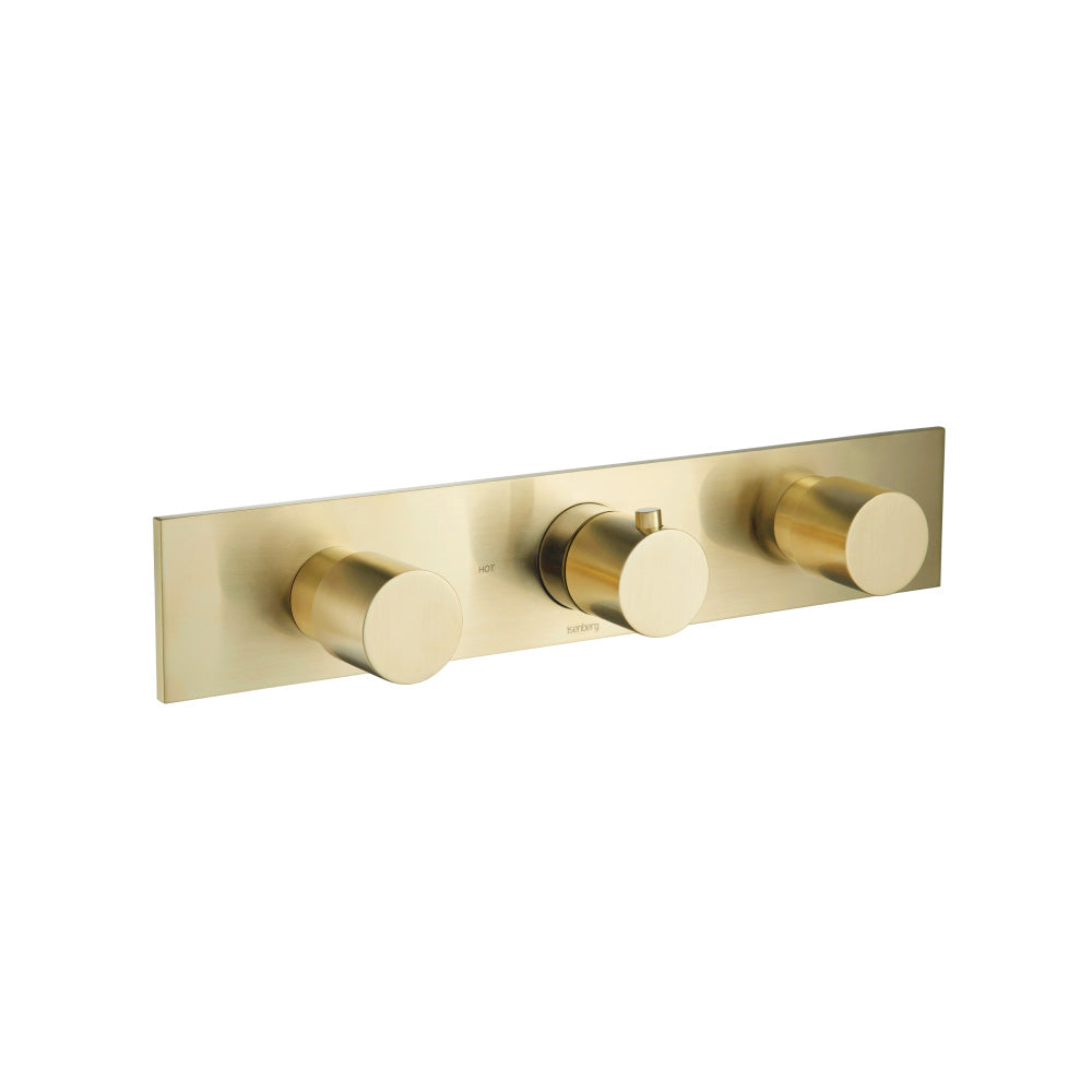 Flusso Serie 100 100.2715T Trim For Horizontal Thermostatic Valve with 2 Volume Controls