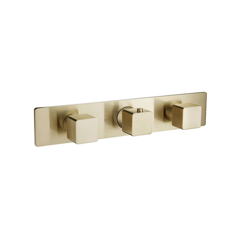 Flusso Serie 196 196.2715T Trim For Horizontal Thermostatic Valve with 2 Volume Controls