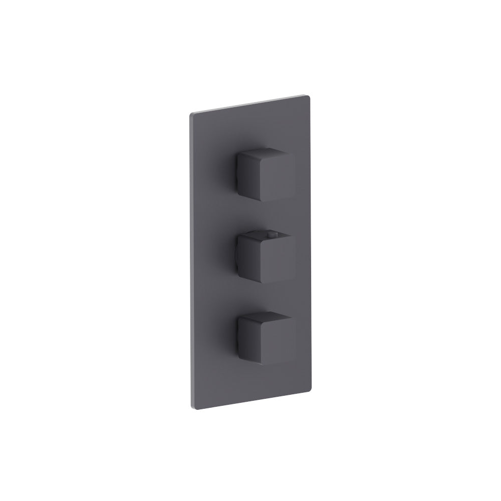 Flusso Serie 196 196.4401 3/4" Thermostatic Valve and Trim - 2 Outputs
