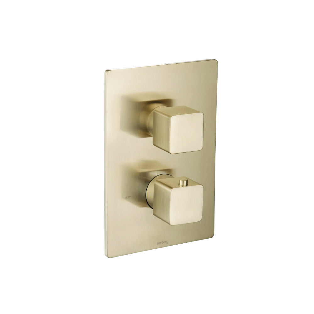 Flusso Serie 196 196.4421 3/4 " Thermostatic Valve & Trim - With 2-Way Diverter - 2 Output