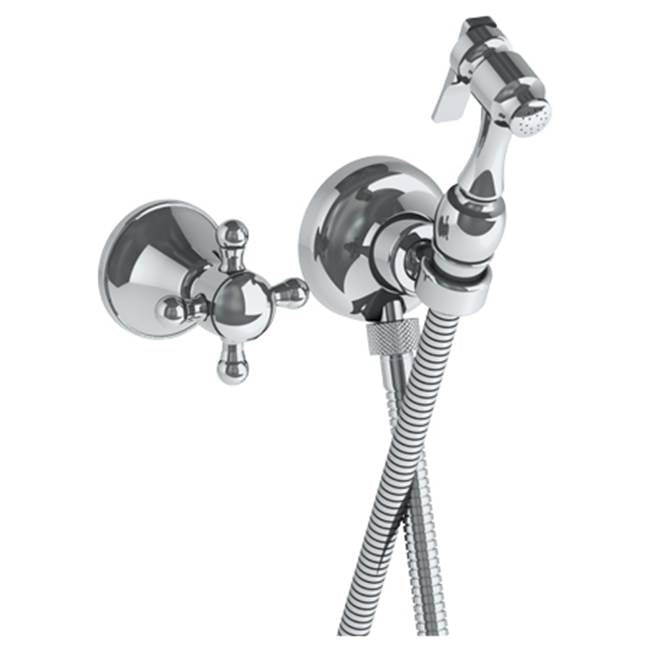 Watermark 313-4.4-AX York Wall Mounted Bidet Spray Set & Progressive Mixer With 49" Hose