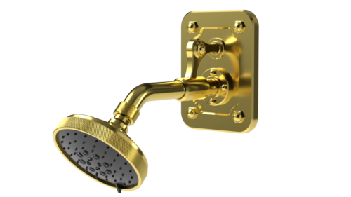 Waterstone AG250-1 Argonaut Wall Mount Shower Head With Back Plate