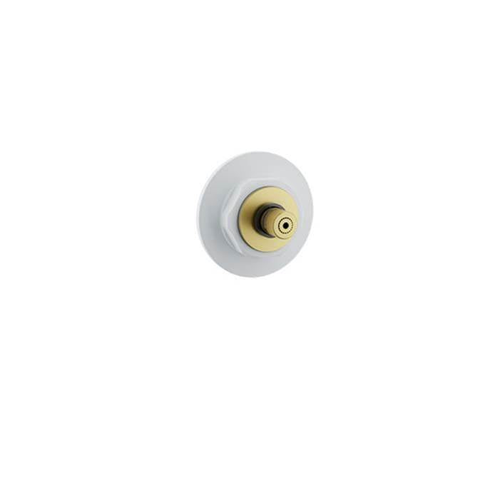 BARiL T80-9649-00 Trim Only For 2 Or 3-Port Diverter With Stop Or 3/4" Stop Valve