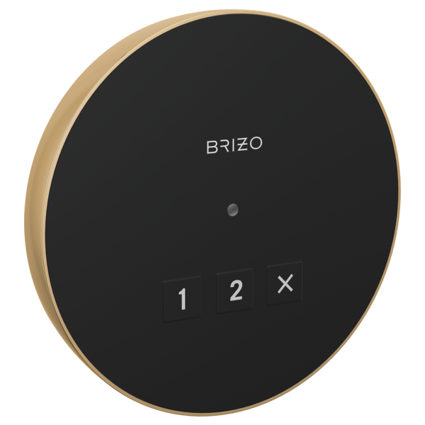 Brizo 8CN-220R Round exterior control
