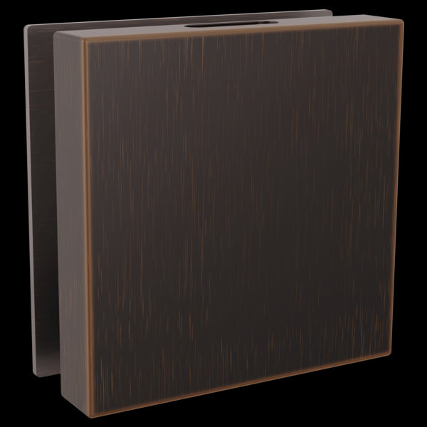 Brizo RP103312 Mystix Square Steam Head