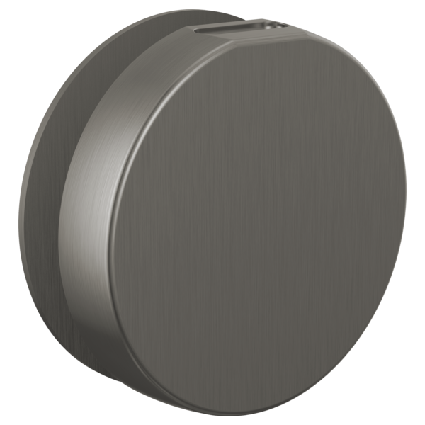 Brizo RP103313 Mystix Round Steam Head