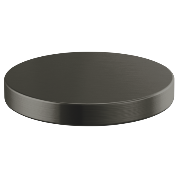 Brizo RP90934 Litze Hole Cover