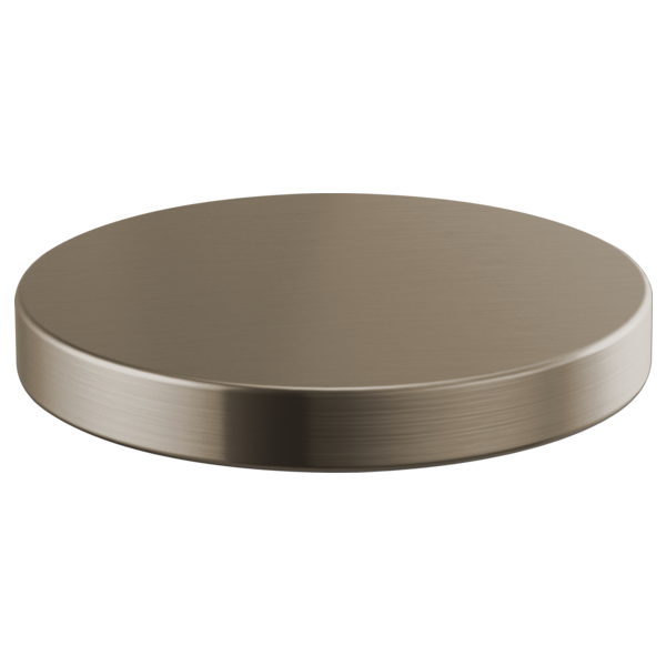 Brizo RP90934 Litze Hole Cover