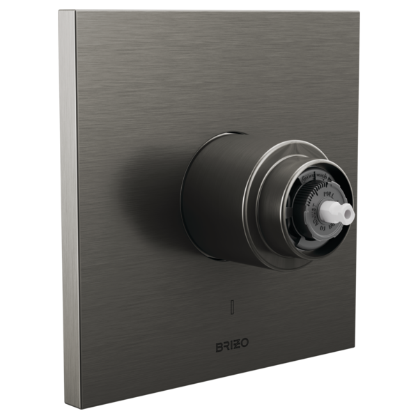 Brizo T60P022-LHP Frank Lloyd Wright Pressure Balance Valve Only Trim - Less Handle
