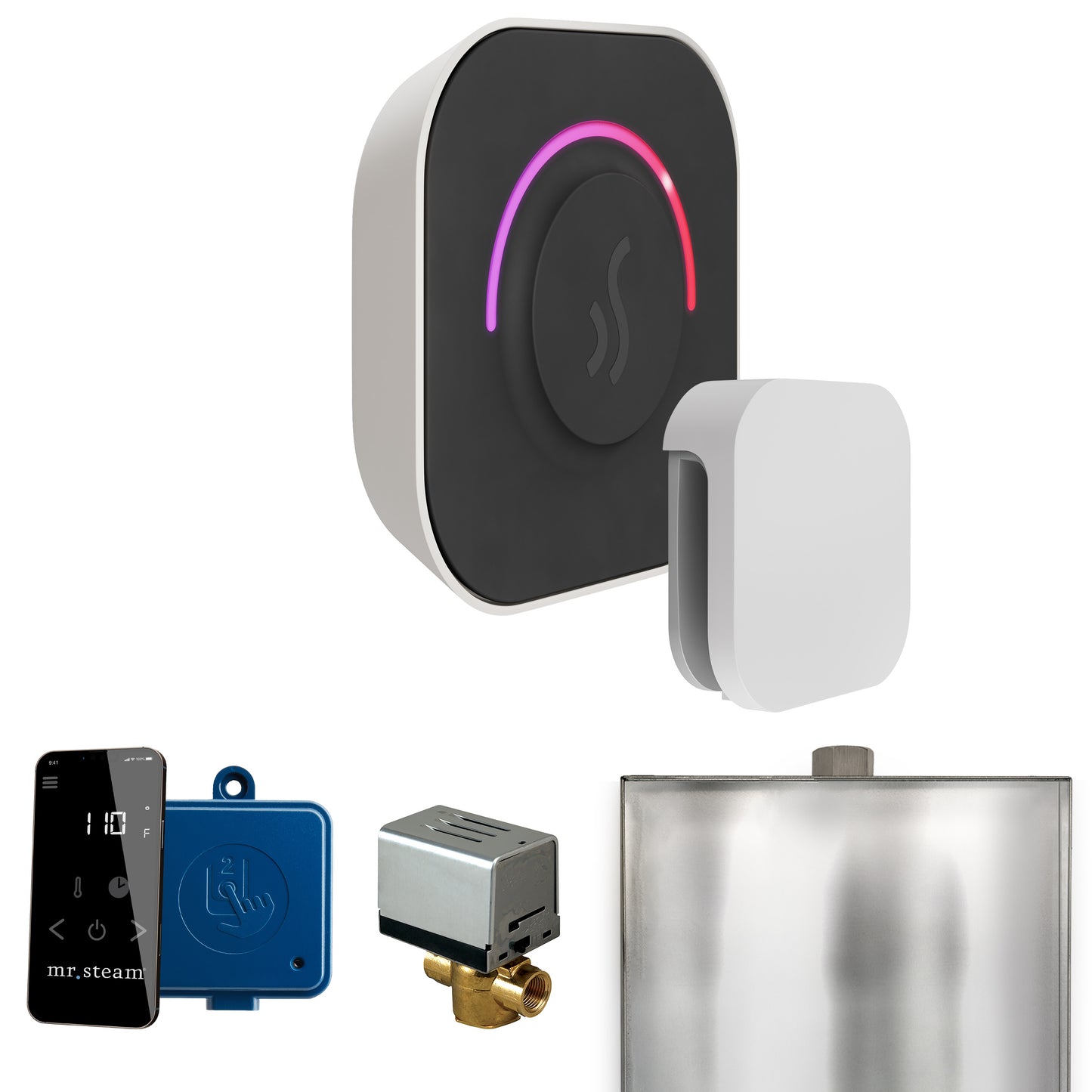 Mr. Steam BT ButlerTouch Steam Shower Control Package with TempoTouch Control and Steamhead