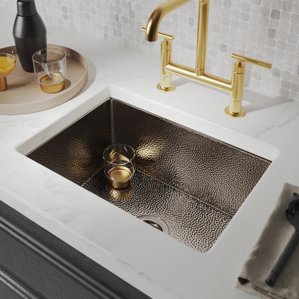 Native Trails CPK878 Cocina 21 Kitchen Sink In Polished Nickel