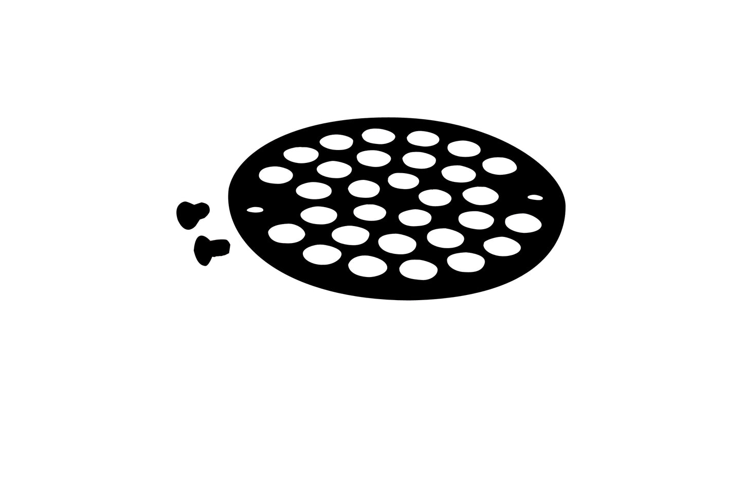 Westbrass D3192 4 in. O.D. Shower Strainer Cover Plastic-Oddities Style