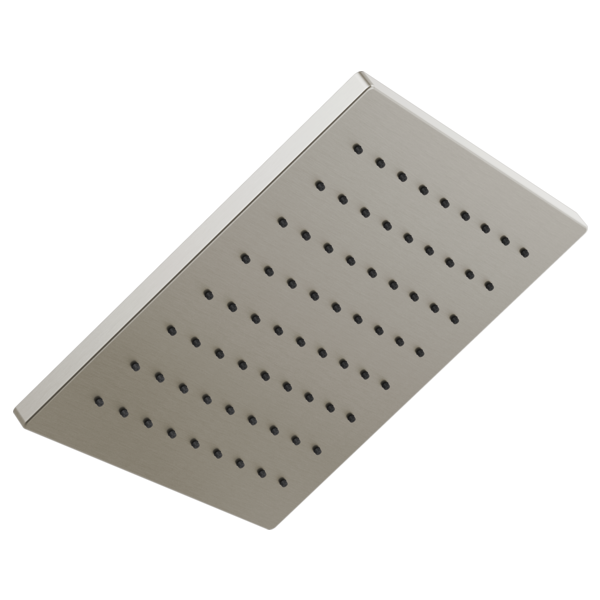 Delta 52159 Single-Setting Metal Raincan Shower Head