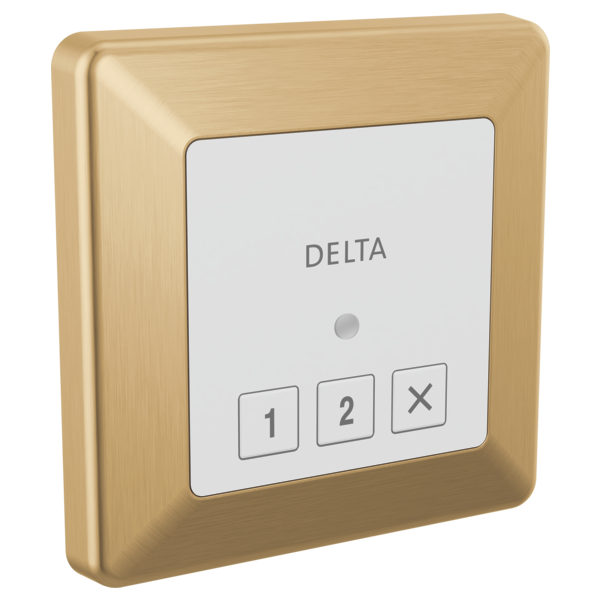 Delta 5CN-220T Square Exterior Steam Control