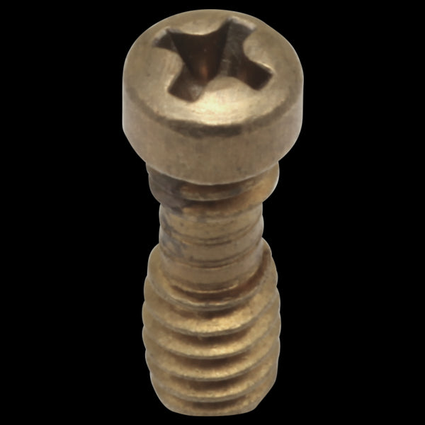 Delta RP20185 Retention Screws - 1/2"