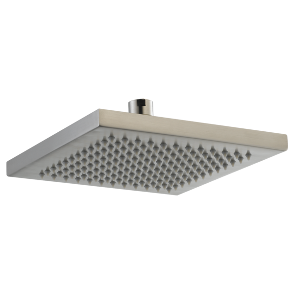 Delta RP53496 Single-Setting Raincan Shower Head