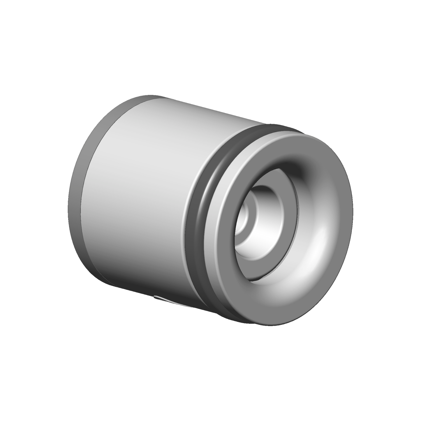 Dornbracht 09230116690 Back-Flow Preventer 1.8 Gpm