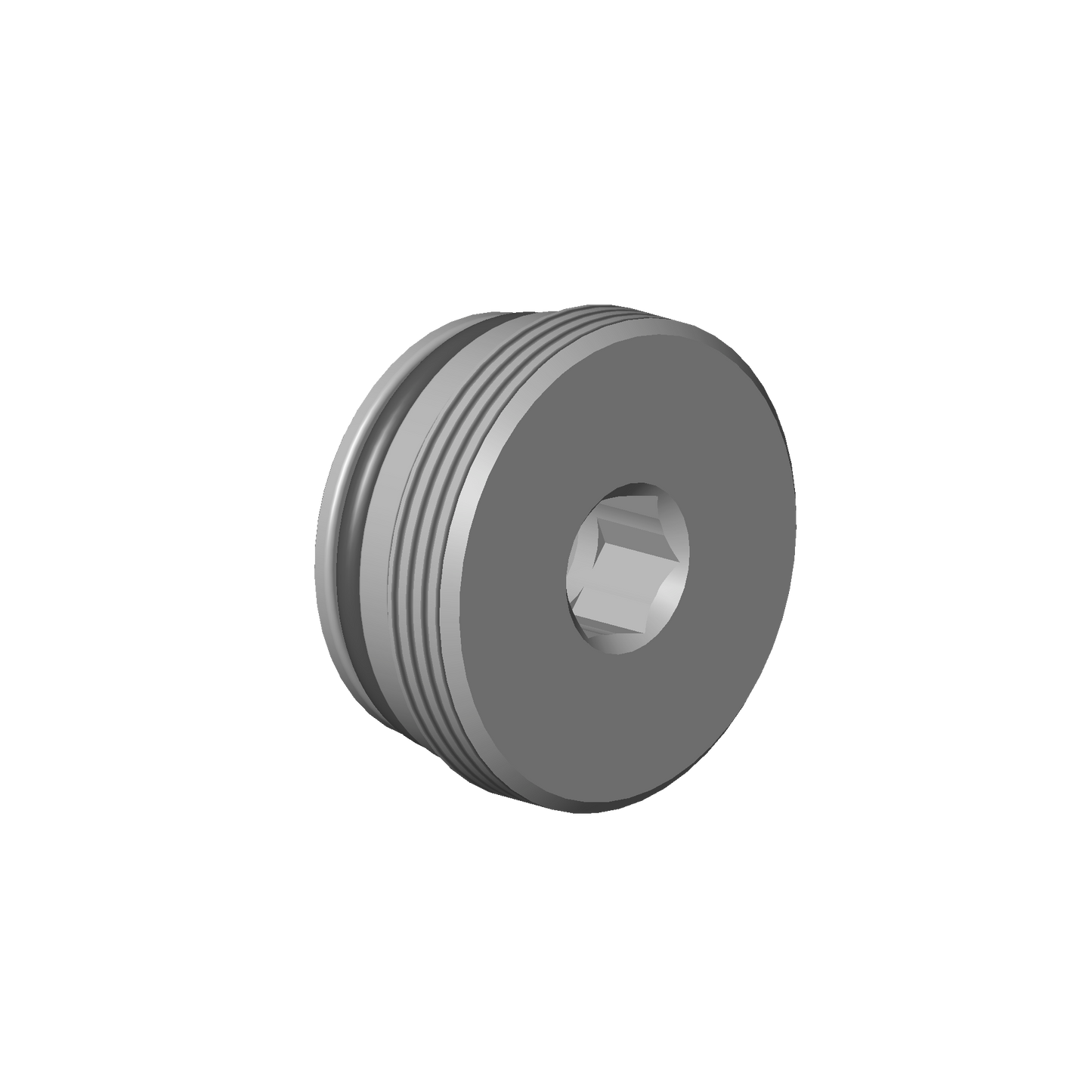 Dornbracht 9031201310090 Plug D36 X 16 Mm