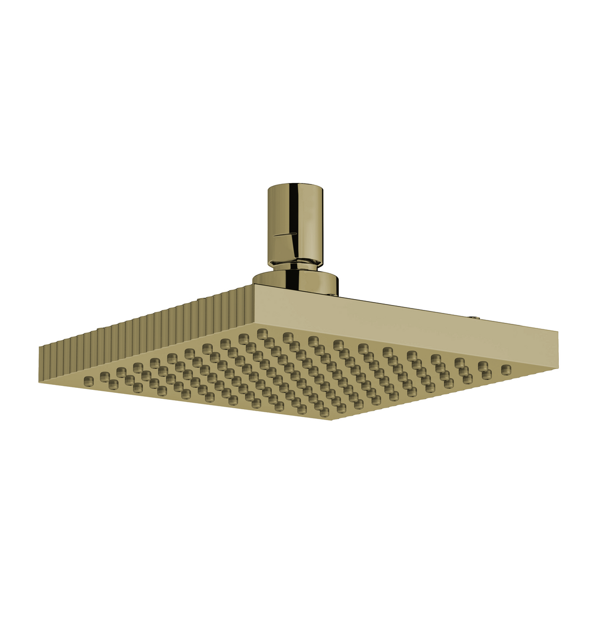 Franz Viegener FV126/F4 Groovy 6" Square Showerhead