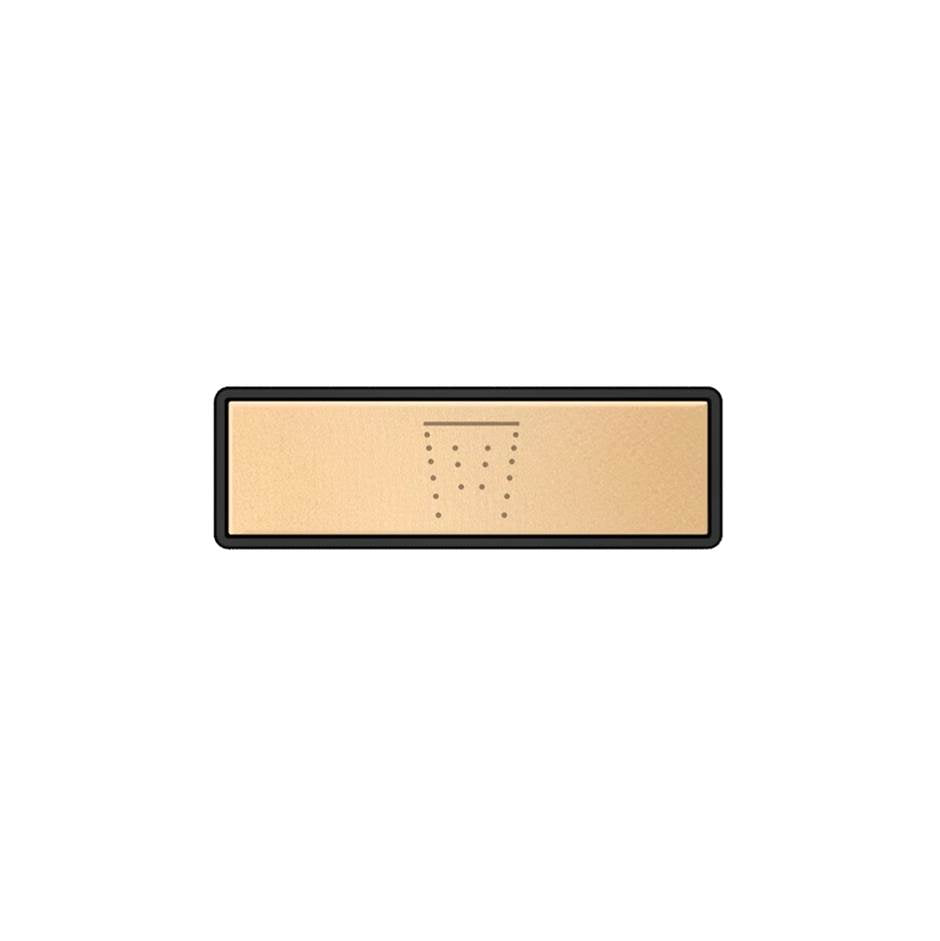 Gessi 02767 Hi Fi Push-Botton Plate With Waterfall Symbol. For Linear & Shelf Hi-Fi.