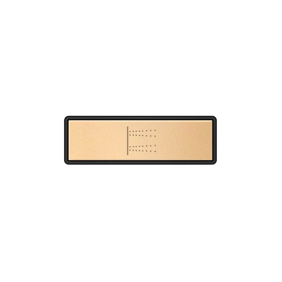 Gessi 02770 Hi Fi Push-Botton Plate With Body Jets Symbol. For Linear & Shelf Hi-Fi.