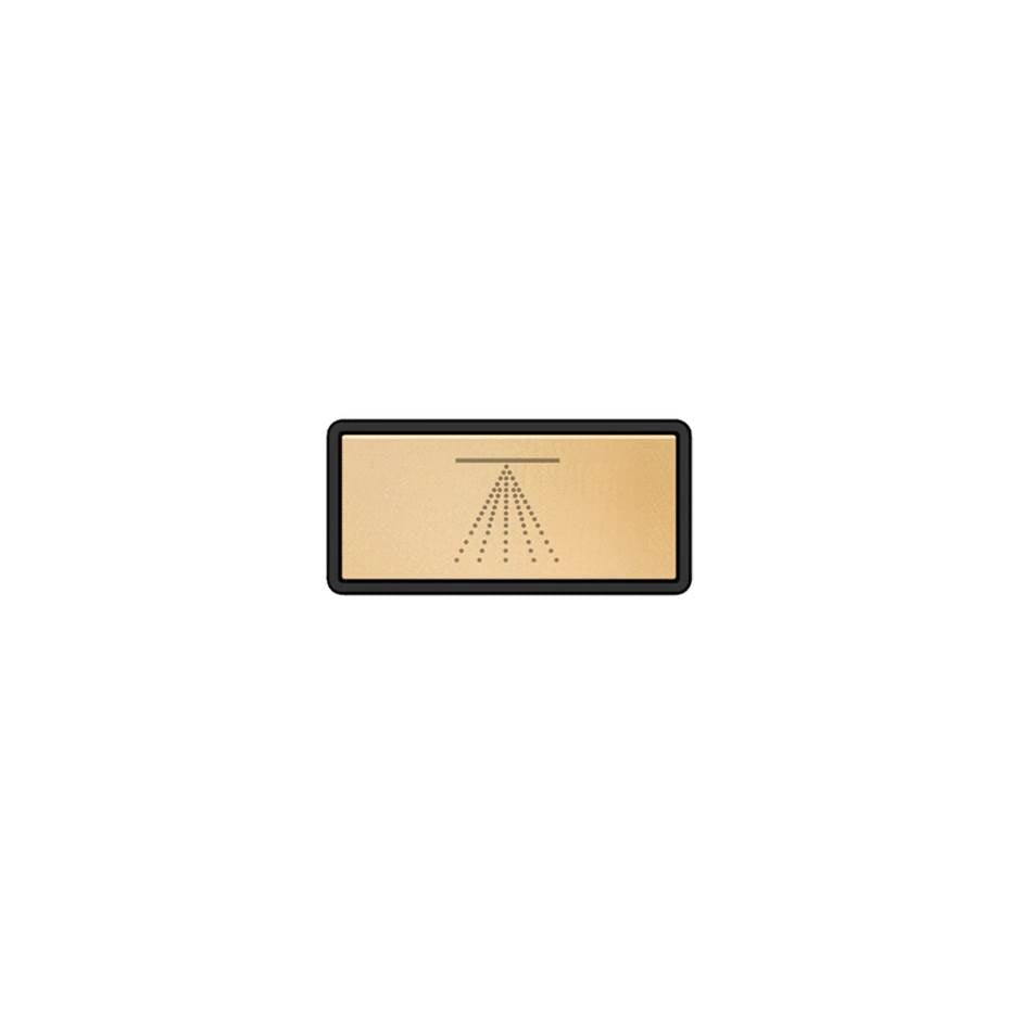 Gessi 02776 Hi Fi Push-Botton Plate With Atomizer Symbol.