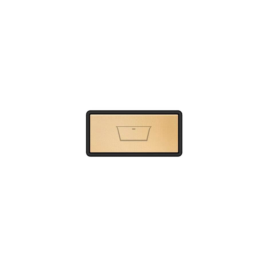 Gessi 02779 Hi Fi Push-Botton Plate With Bathtub Symbol.
