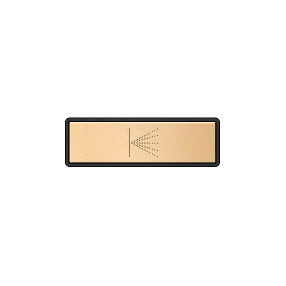 Gessi 02783 Hi Fi Push-Botton Plate With Wall-Mounted Atomizer Symbol. For Linear & Shelf Hi-Fi.