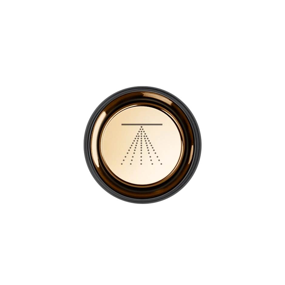 Gessi 03291 Hi Fi Push-Botton Plate With Atomizer Symbol. For Hi-Fi Eclectic.