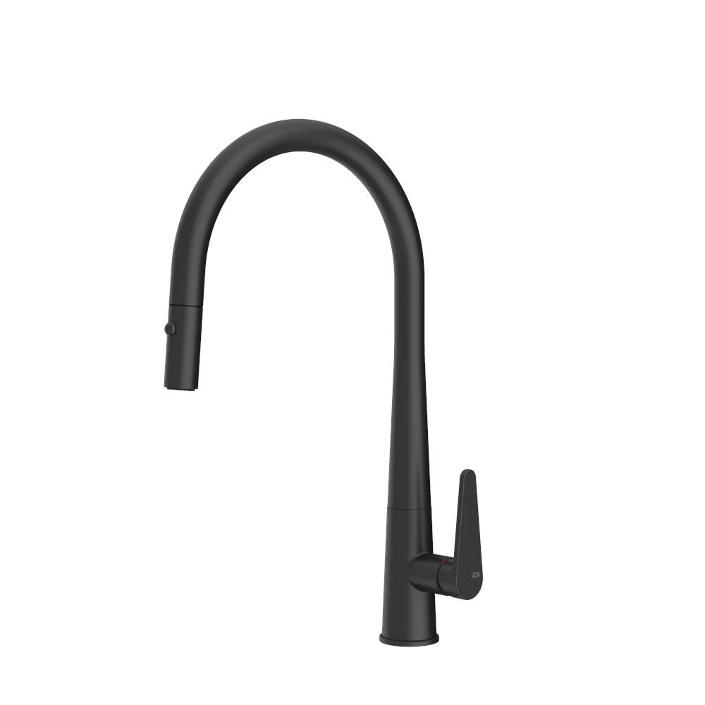 Gessi PF17156 Proton