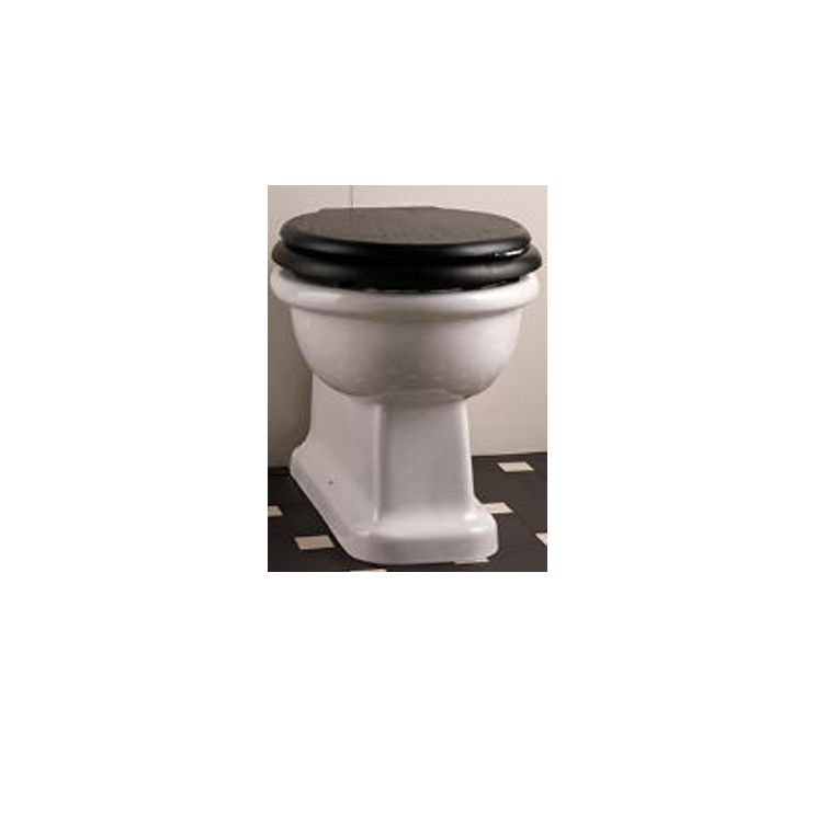 Devon & Devon IBWCETBTW Back to wall w.c. pan for in-wall cistern