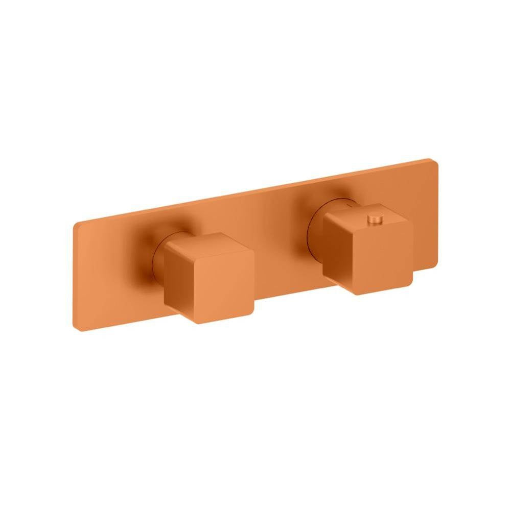 Flusso Serie 196 196.2693T Trim For Thermostatic Valve