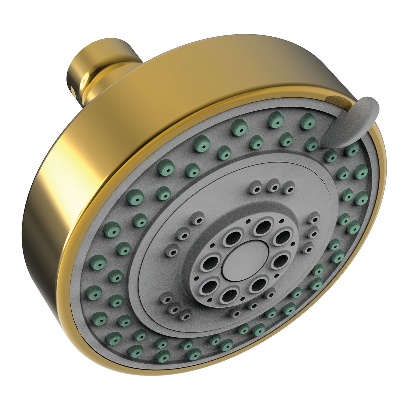 Newport Brass 2155 Multifunction Showerhead