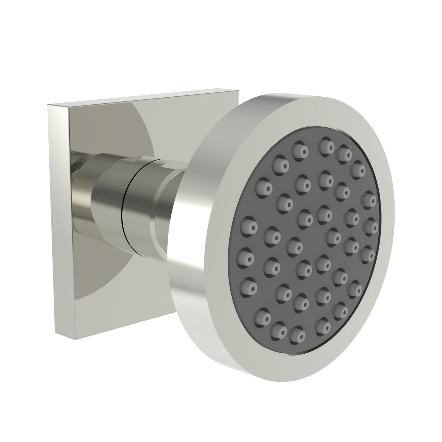 Newport Brass 2173 Body Spray