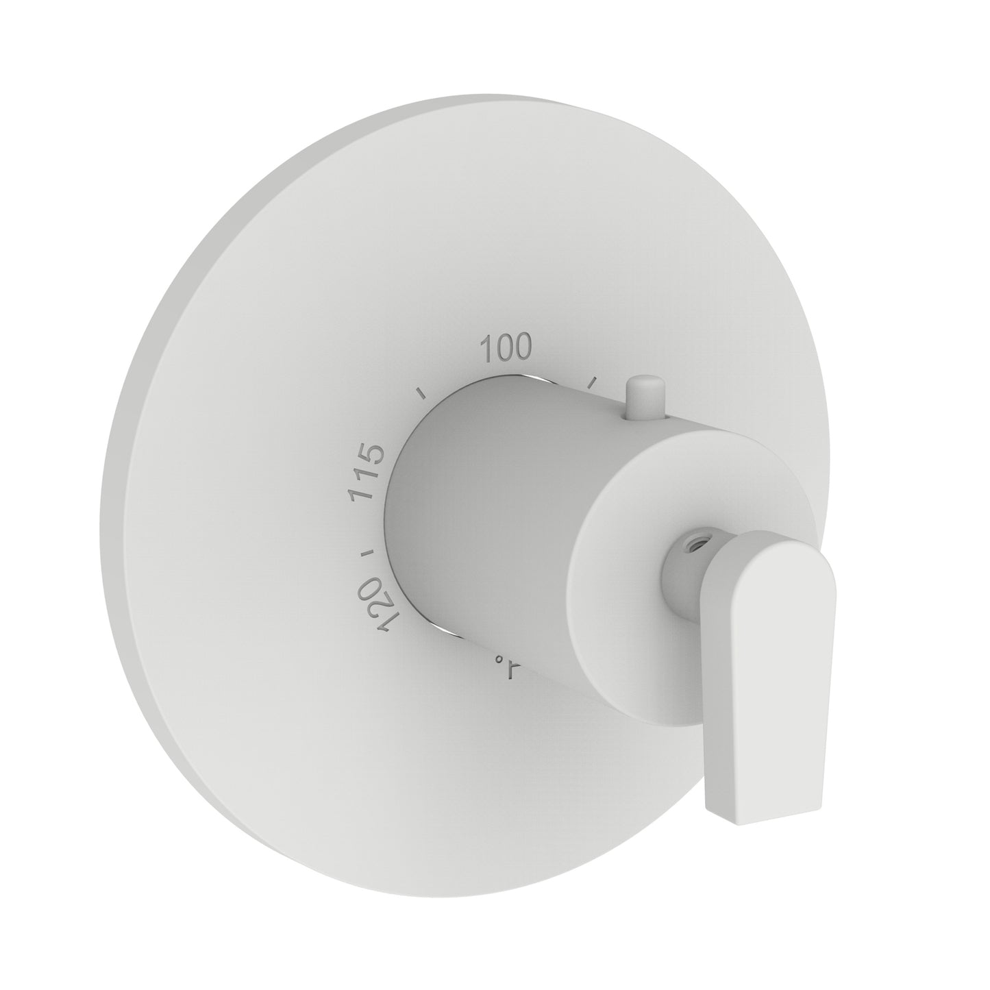 Newport Brass 3-2974TR Dorrance 3/4" Round Thermostatic Trim Plate with Handle