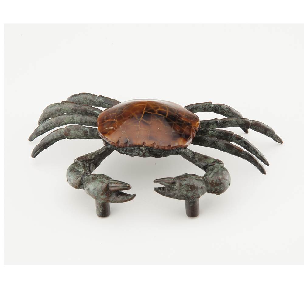 Schaub 951S-PEN Nature Tiger Penshell Pull Sea Crab 1-5/8" Center to Center - Tiger Penshell
