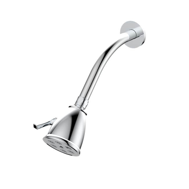Santec 927916 Standard 6 Port Showerhead with Arm and Flange - Parent