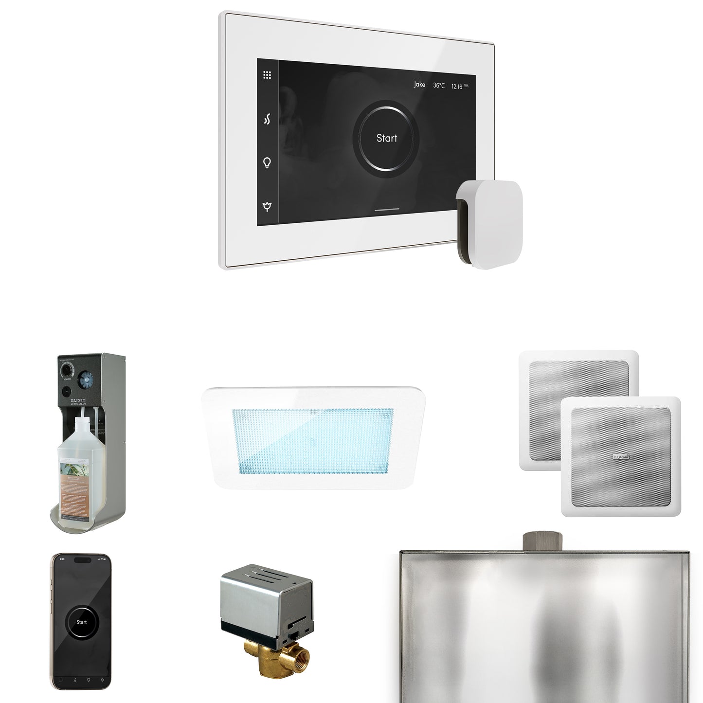 Mr. Steam XDRM2 XDream Steam Shower Control Package with iSteamX Control and Steamhead
