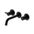 Flusso Serie 100 100.1950 Two Handle Wall Mounted Bathroom Faucet