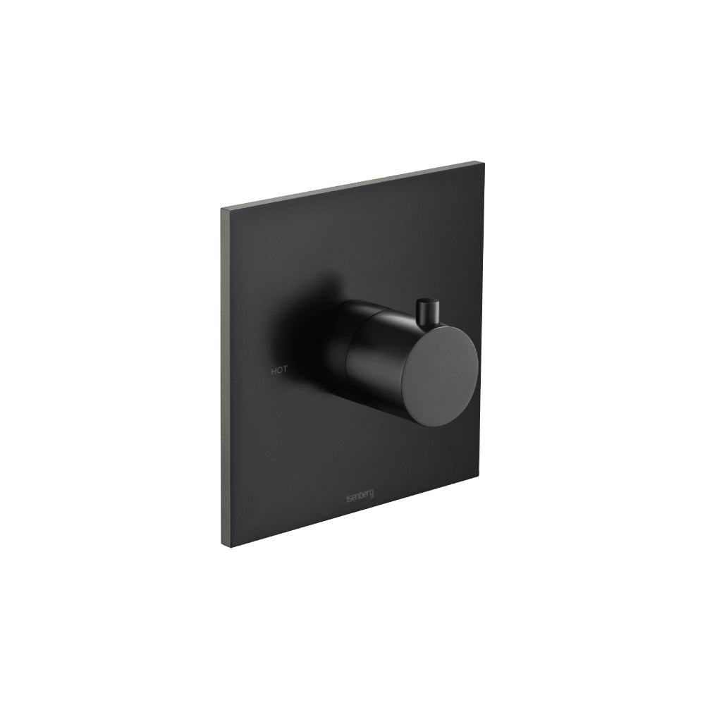 Flusso Serie 100 100.4201T Trim For 3/4" Thermostatic Valve - Use with TVH.4201