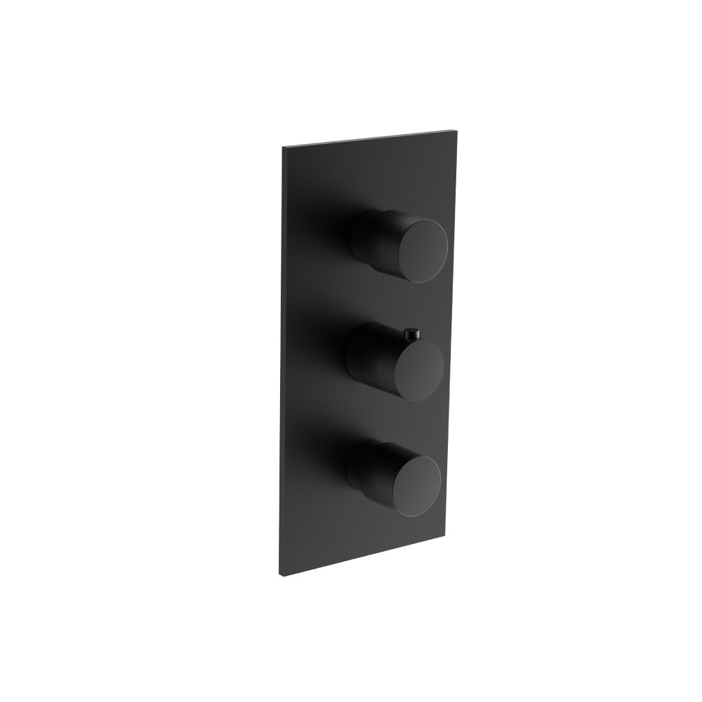 Flusso Serie 100 100.4401 3/4" Thermostatic Valve and Trim - 2 Outputs