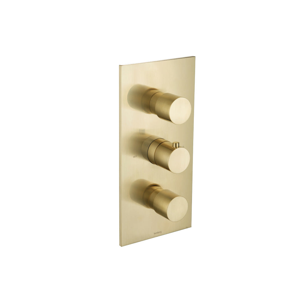 Flusso Serie 100 100.4401 3/4" Thermostatic Valve and Trim - 2 Outputs