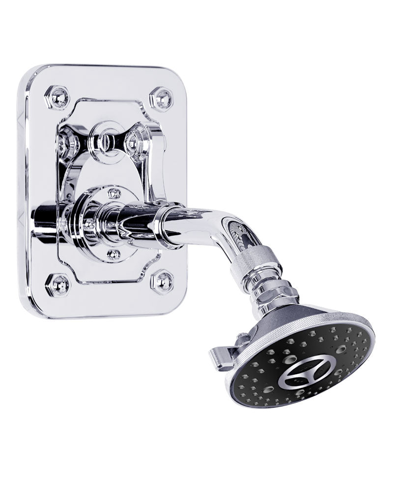 Waterstone AG250-1 Argonaut Wall Mount Shower Head With Back Plate