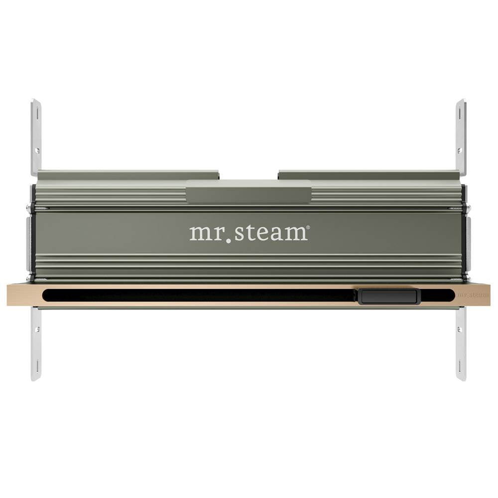 Mr. Steam 104480 Linear 16 in. W. Steamhead with AromaTherapy Reservoir - Parent