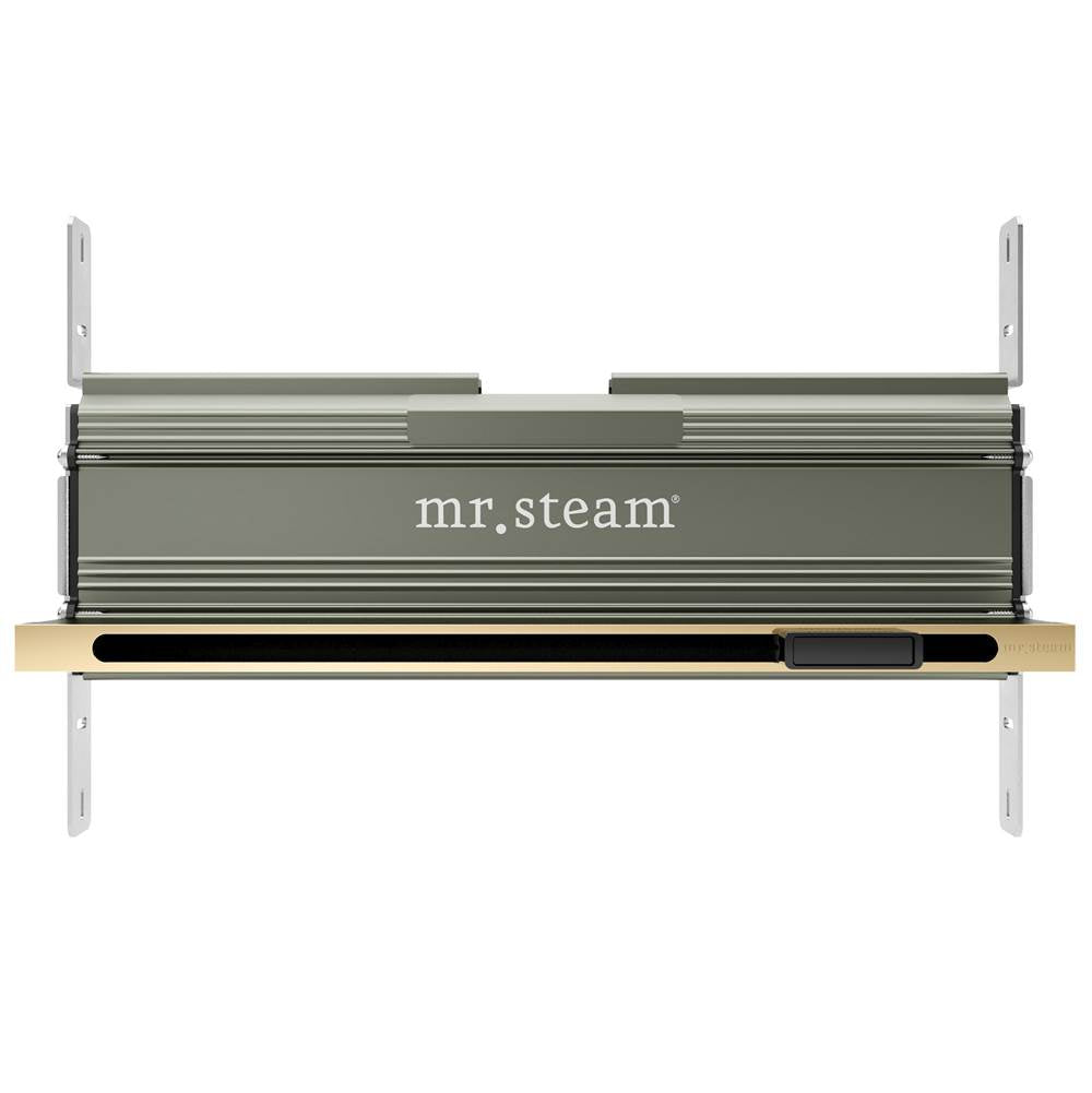 Mr. Steam 104480 Linear 16 in. W. Steamhead with AromaTherapy Reservoir