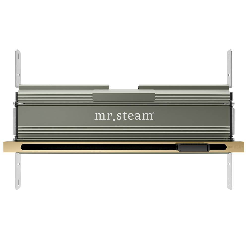 Mr. Steam 104480 Linear 16 in. W. Steamhead with AromaTherapy Reservoir