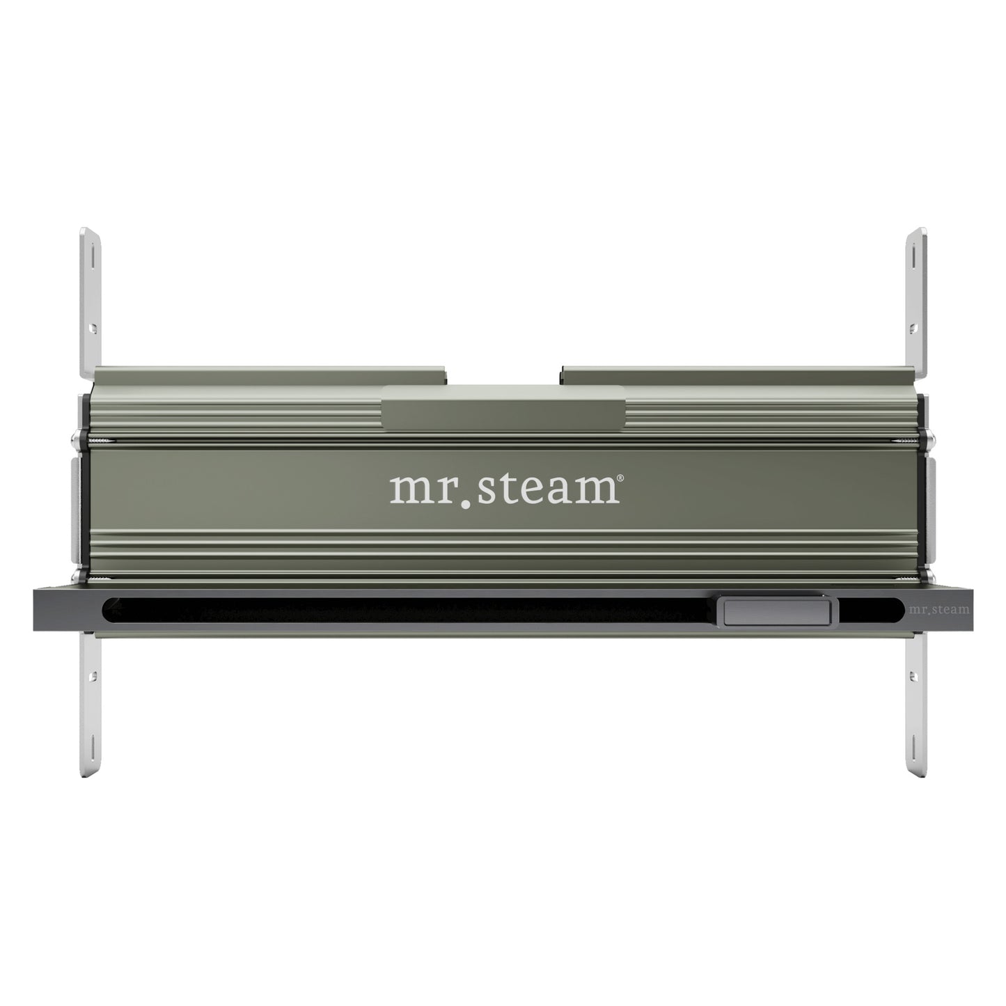 Mr. Steam 104480 Linear 16 in. W. Steamhead with AromaTherapy Reservoir