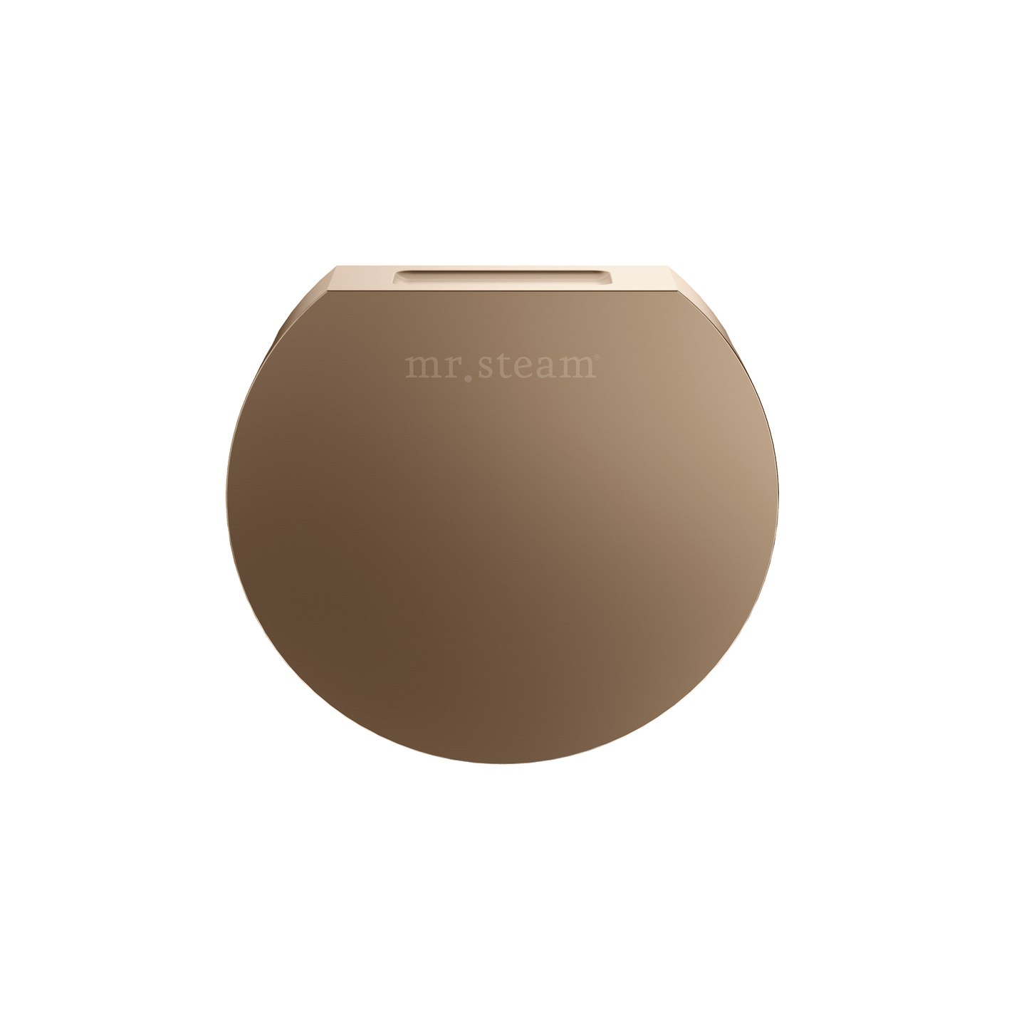 Mr. Steam 104515 Designer 3 in. Steamhead with AromaTherapy Reservoir in Round Brushed Bronze