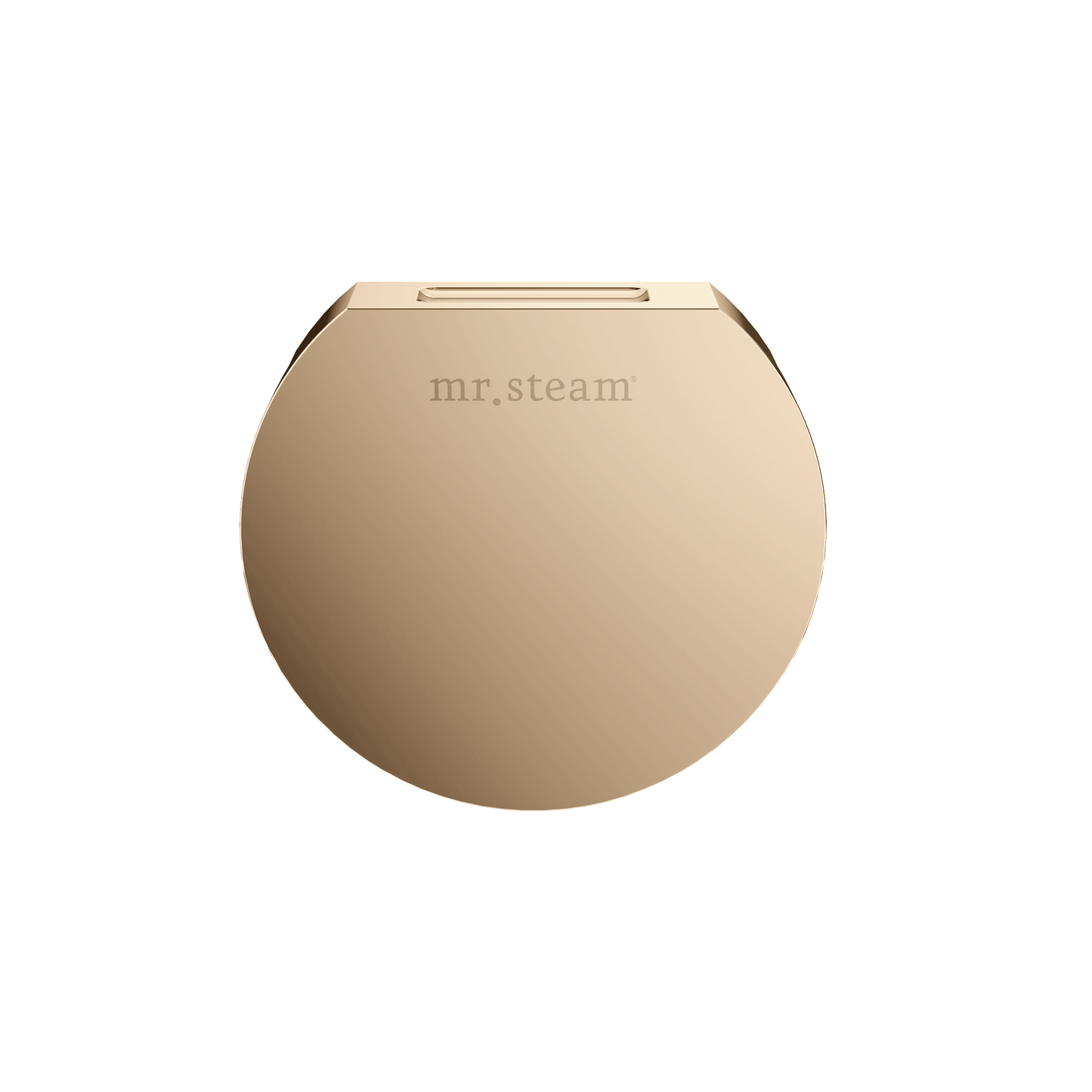 Mr. Steam 104515 Designer 3 in. Steamhead with AromaTherapy Reservoir in Round Brushed Bronze