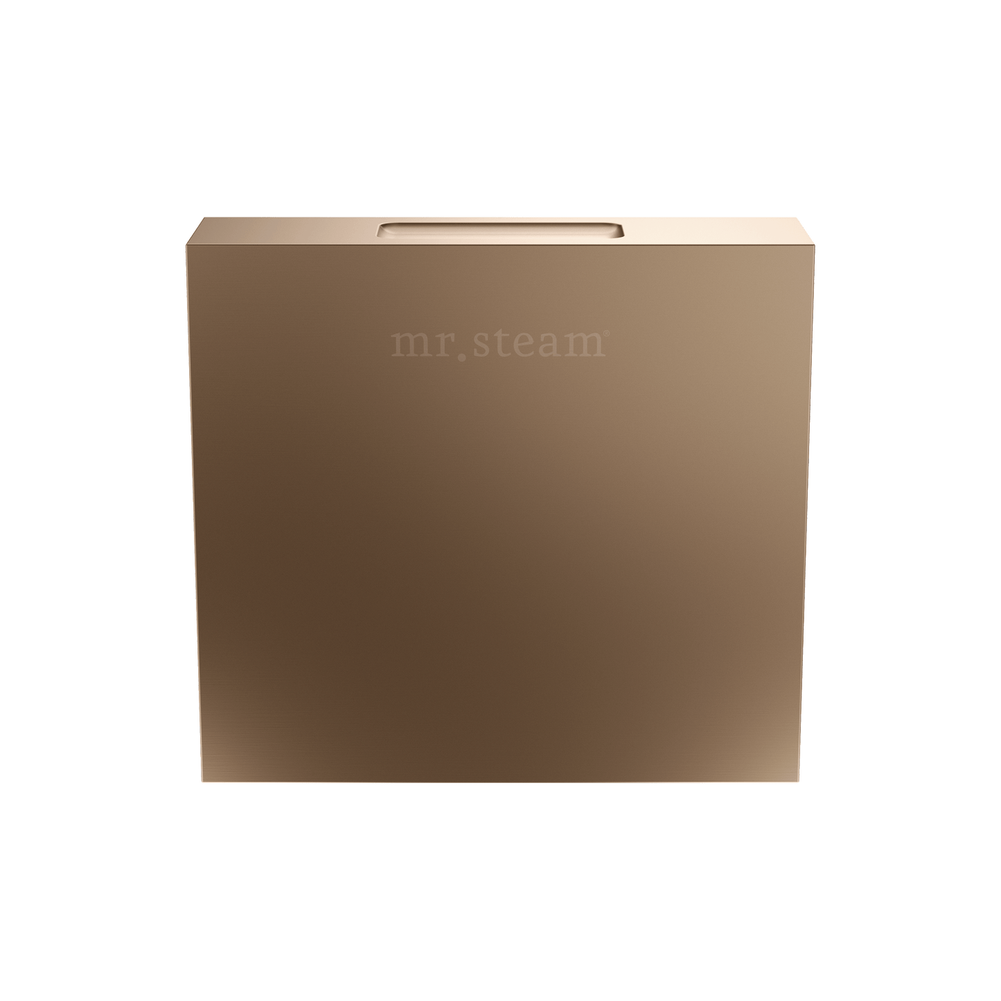 Mr. Steam 104516 Designer 3 in. Steamhead with AromaTherapy Reservoir in Square Brushed Bronze